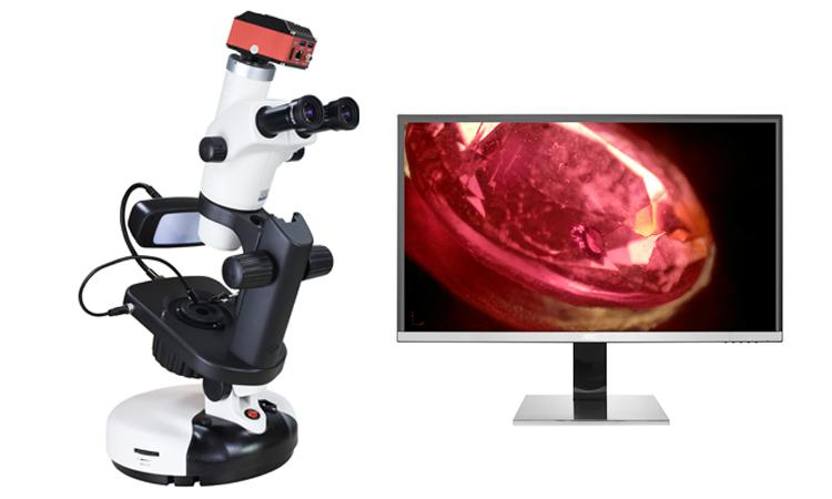 三目宝石显微镜